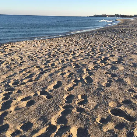 Mitu * Ефоріє-Норд