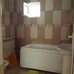 Mitu * אפורי נורד