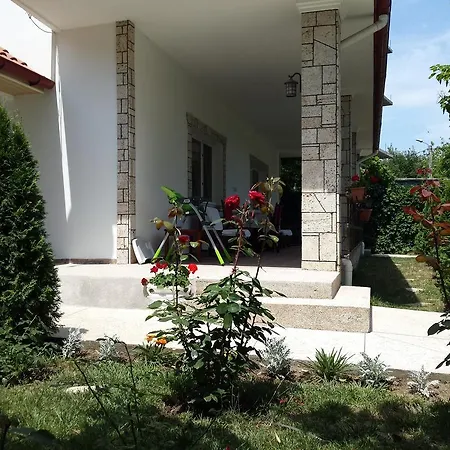 Mitu Daire